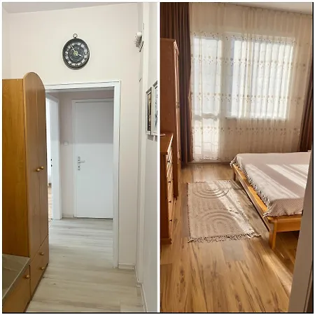 Acacia Daire Varna
